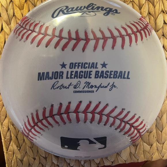 Baseball Party Decorations: 2 Platters, Cupcake Cups, Banner and Hanging Swirls - Picture 8 of 9